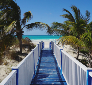 Ein hölzerner Steg mit weißen und blauen Geländern führt durch Palmen direkt zu einem weißen Sandstrand und dem türkisfarbenen Meer der Bahamas.