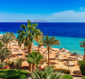 Strand in Sharm El-Sheikh mit Palmen, Sonnenschirmen und türkisblauem Meer.