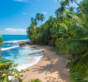 Versteckter Sandstrand in Costa Rica, umgeben von üppigen Palmen und türkisblauem Meer.