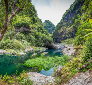 &Uuml;ppig bewachsene Felsenschlucht mit klarem, gr&uuml;nlich schimmerndem Naturpool.