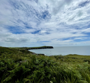 Grüne Küstenlandschaft in Irland mit Blick auf das Meer und bewölkten Himmel.