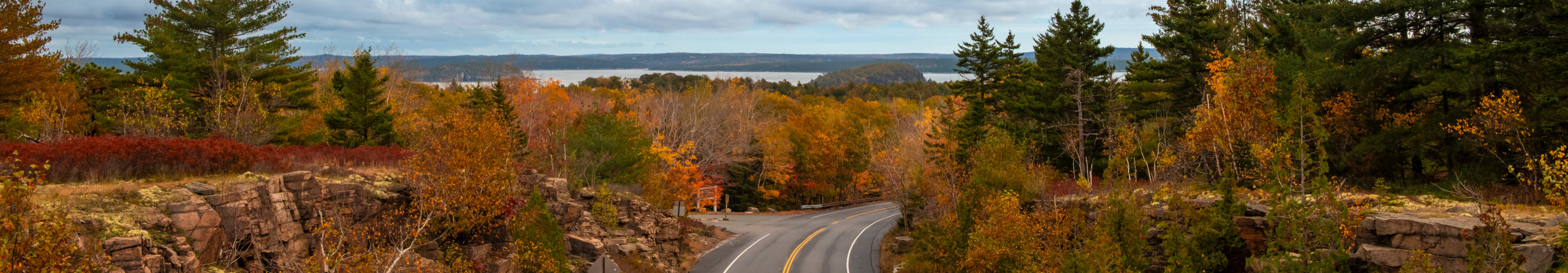 Malerische Straße entlang des Acadia-Nationalparks, Maine, USA, mit den herbstlichen Laubfarben und dem Meer im Hintergrund.