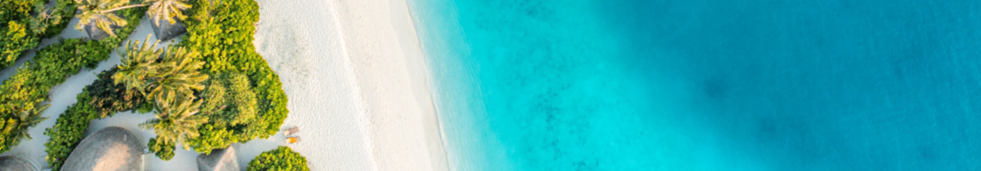 shutterstock 2390374301 1 1 