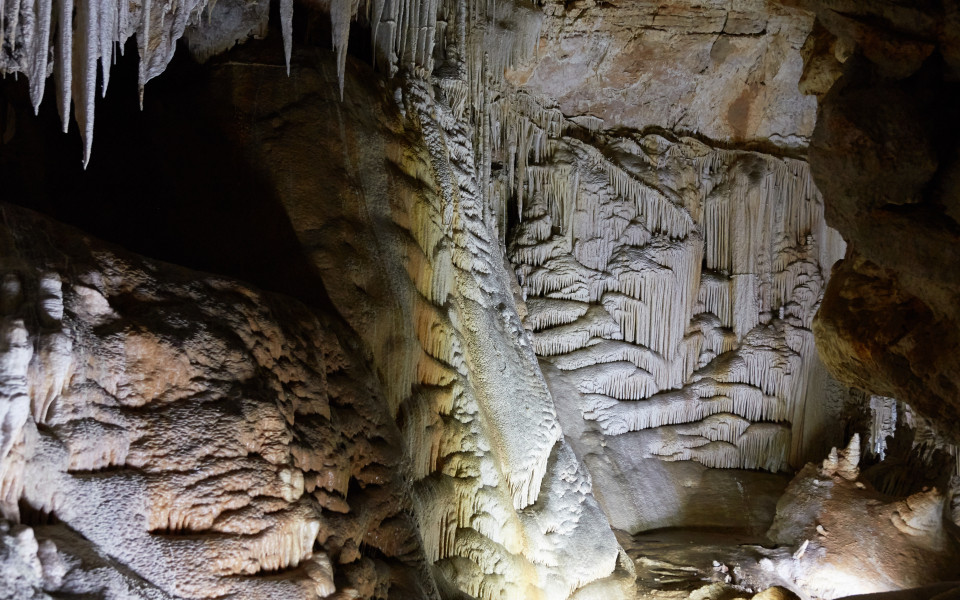 Mallorca Geheimtipp: Faszinierende Tropfsteinhöhlen der Coves de Campanet auf Mallorca mit beeindruckenden Stalaktiten- und Stalagmitenformationen in geheimnisvoller Atmosphäre.