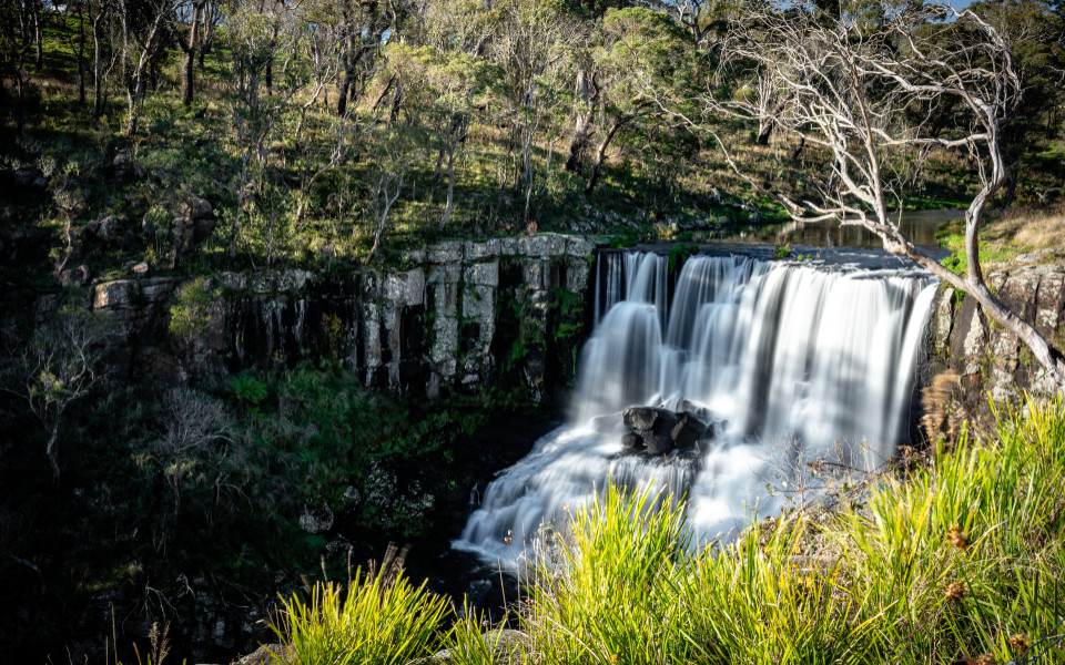 Mehrstufiger Wasserfall der Ebor Falls mit Basaltsäulen und umgebendem Wald.