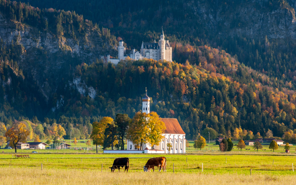 Ausflugstipps in München und Umgebung: Schloss Neuschwanstein und Wallfahrtskirche St. Coloman bei Schwangau im Allgäu