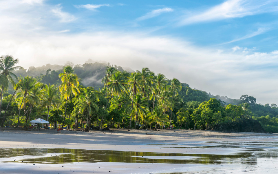 Wunderschöner tropischer Strand mit weißem Sand, grünen Palmen und blauem Meer im Nationalpark in Costa Rica, Mittelamerika.