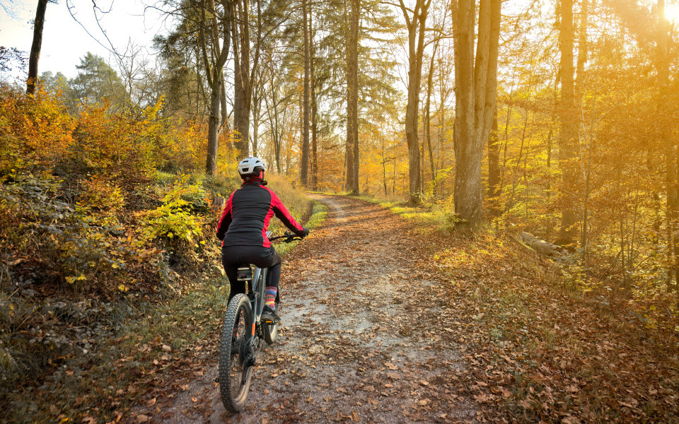 Frau radelt mit elektrischem Mountainbike bei Sonnenuntergang in einem farbenfrohen Herbstwald in Baden-Württemberg in Deutschland