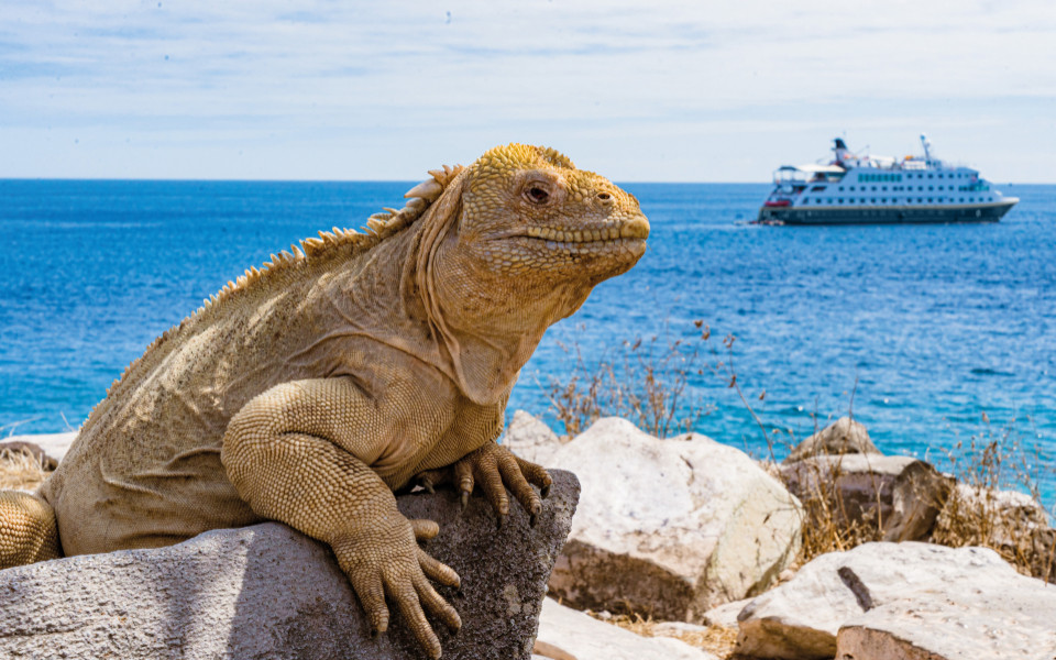 Galapagos