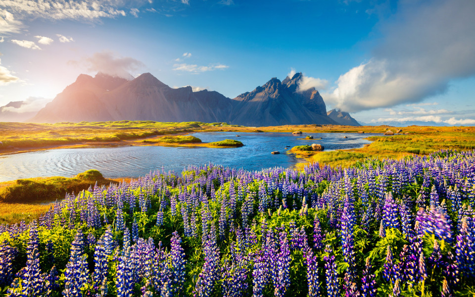 Bild Kreuzfahrt 18 N&auml;chte  ab/bis Kiel