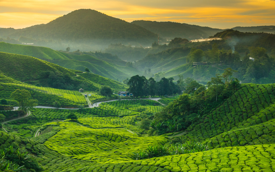 Malaysia