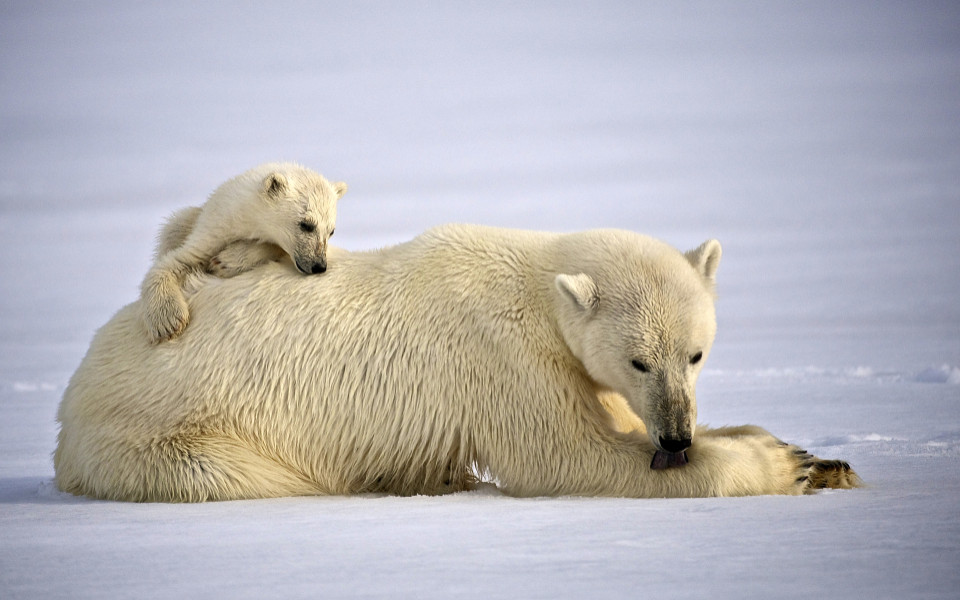 Spitzbergen