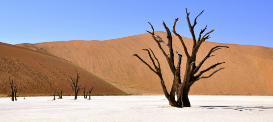 Namibia: Tipps, Empfehlungen und Sehenswertes